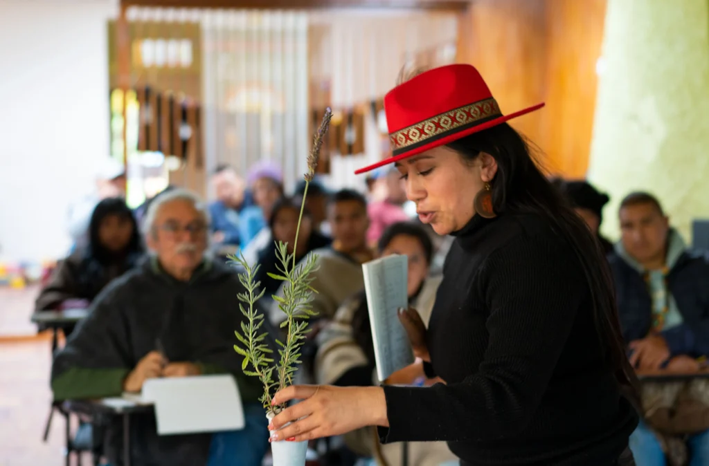 Lavanda - Planta de alturas