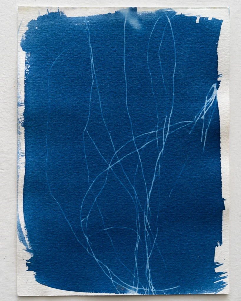 Tembladera - Planta de Periferias - Cianotipia